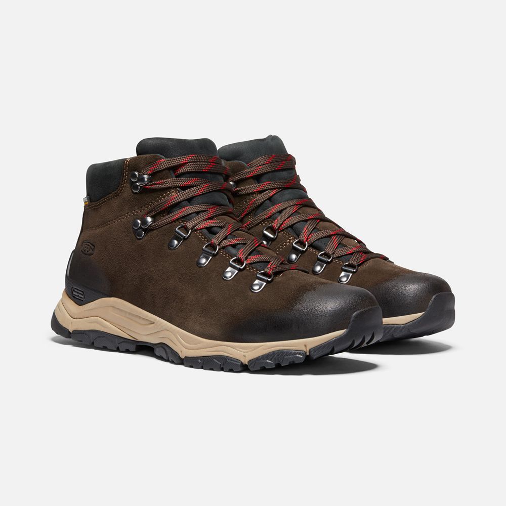 Bottes de Randonnée Keen Homme Marron | Feldberg Apx Waterproof | IESPX-1923